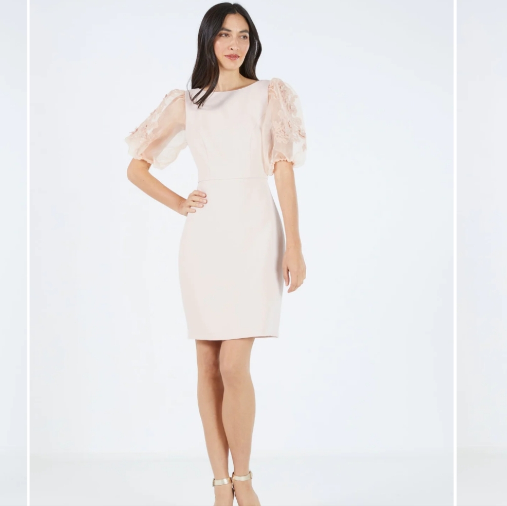 BCBG Maxazria Kamille Lace Sleeve Dress